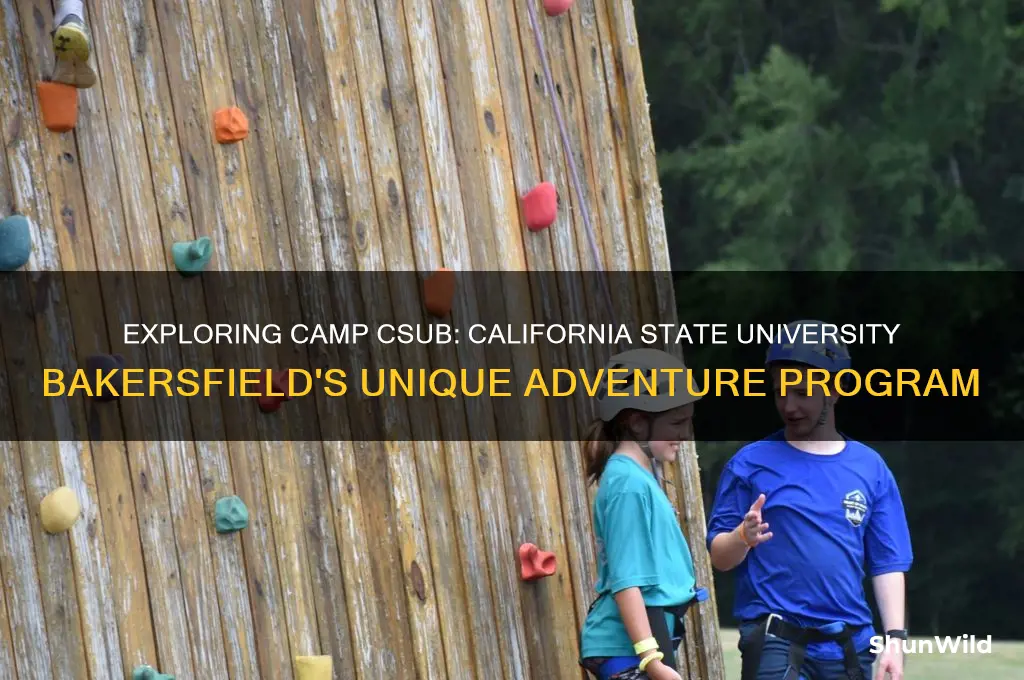 what is camp csub
