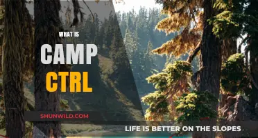 Unveiling Camp Ctrl: A Comprehensive Guide to Its Purpose and Impact