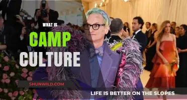 Exploring Camp Culture: A Guide to Its Meaning and Impact