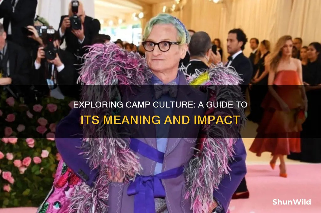 what is camp culture