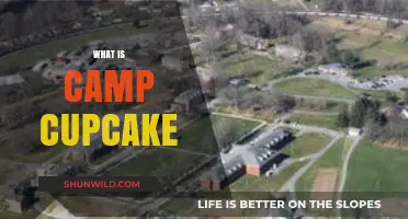 Unveiling Camp Cupcake: A Sweet Escape or Military Mystery?