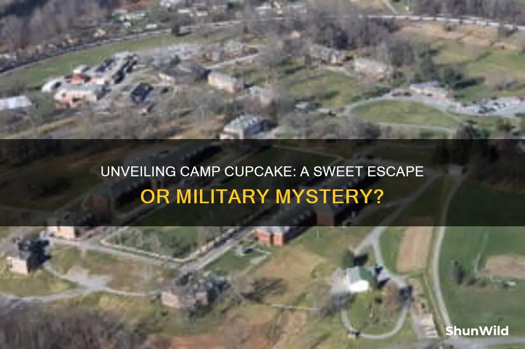 what is camp cupcake