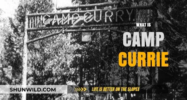 Discovering Camp Currie: History, Activities, and Unique Experiences Explained