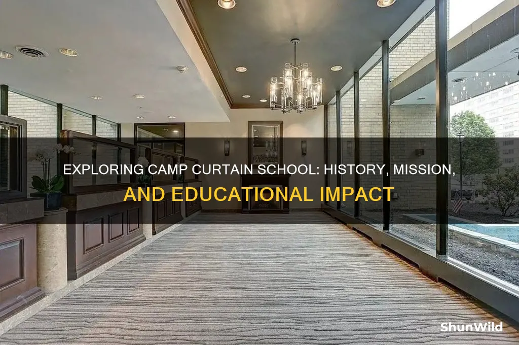 what is camp curtain school