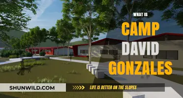 Unveiling Camp David Gonzales: Exploring the Mystery and Significance