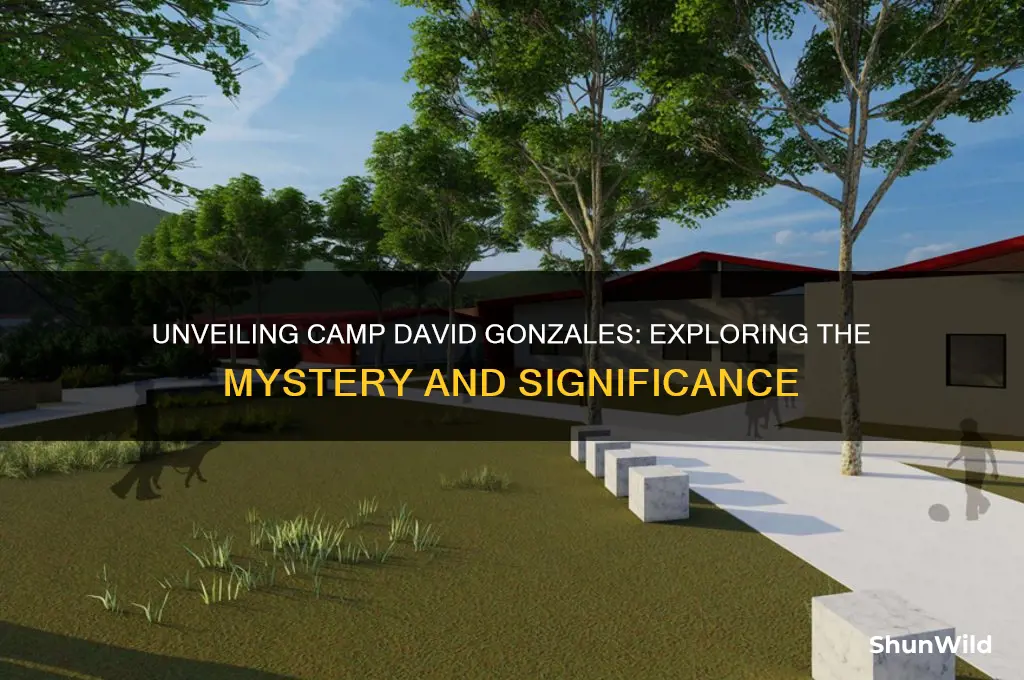 what is camp david gonzales