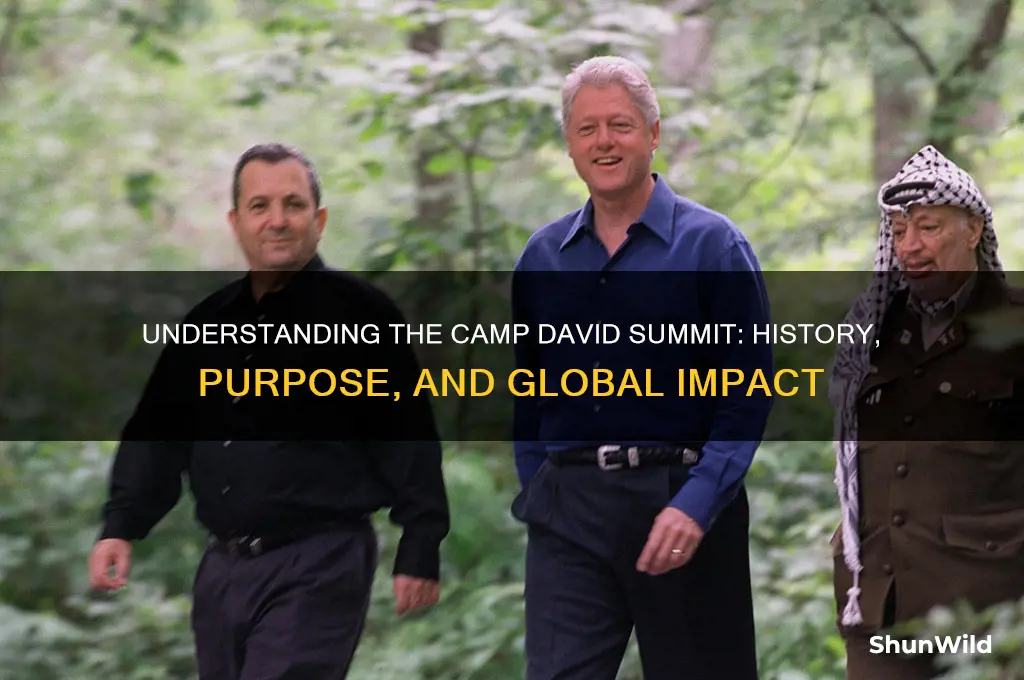 what is camp david summit