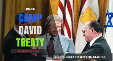 Understanding the Camp David Treaty: A Landmark Peace Agreement Explained
