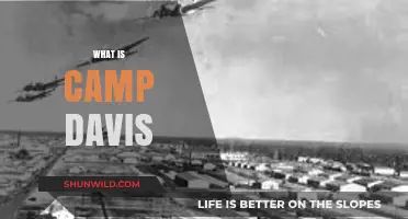 Unveiling Camp Davis: History, Purpose, and Legacy Explained