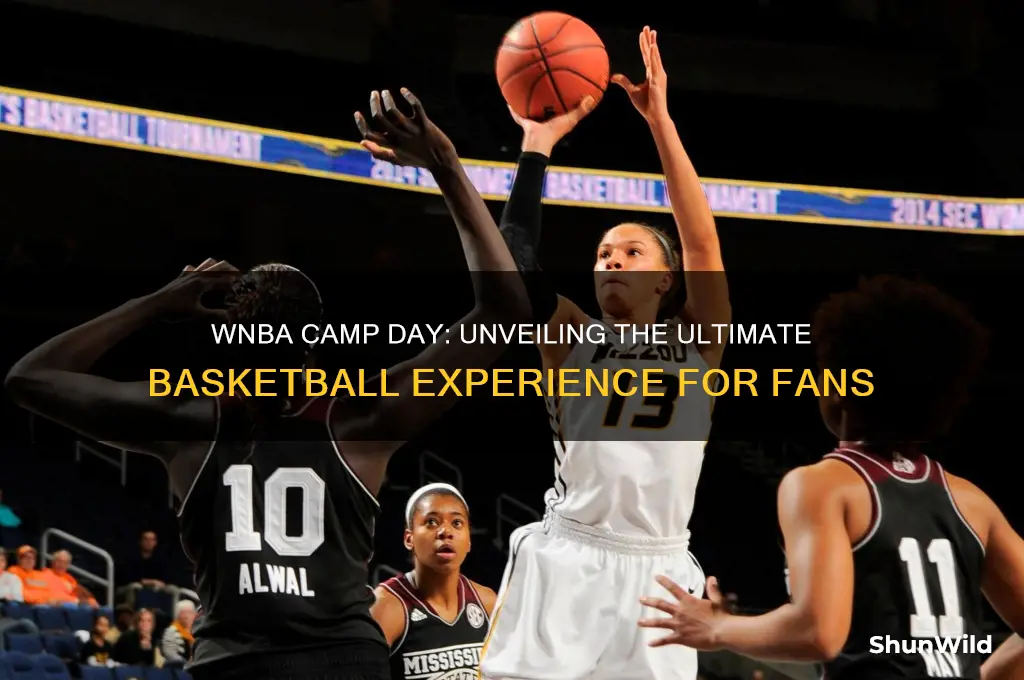 what is camp day wnba