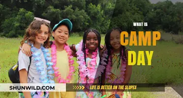 Exploring Camp Day: Fun, Adventure, and Outdoor Learning Experiences
