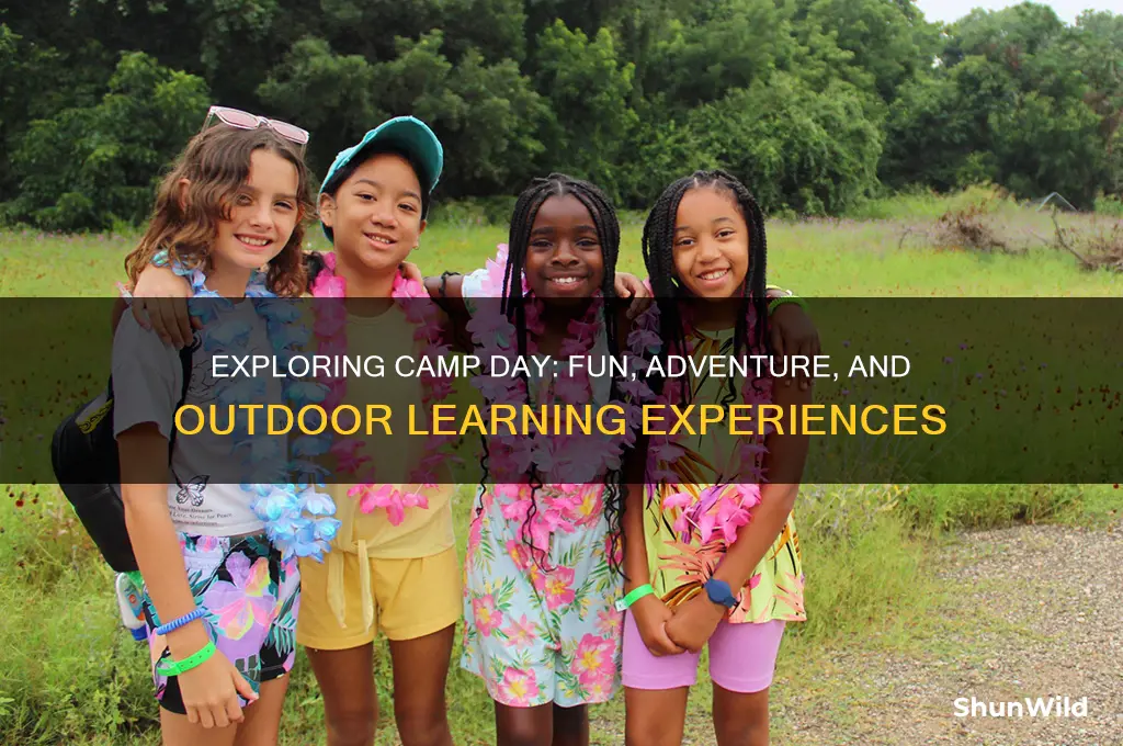 what is camp day