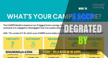 Understanding the Factors That Contribute to Camp Degradation Over Time