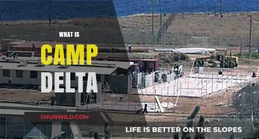 Unveiling Camp Delta: Understanding the Controversial Detention Facility