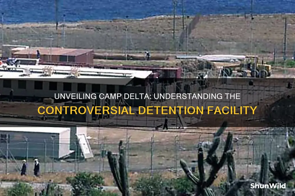 what is camp delta