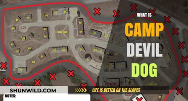 Understanding Camp Devil Dog: A Marine Corps Leadership Training Program