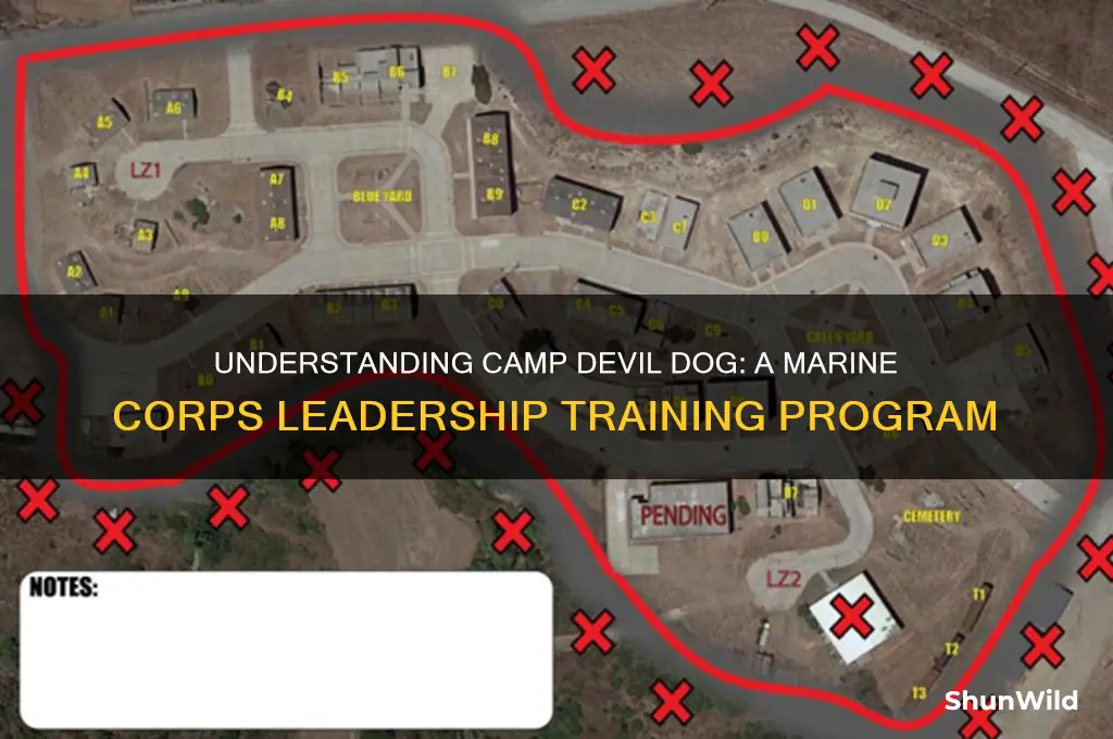 what is camp devil dog