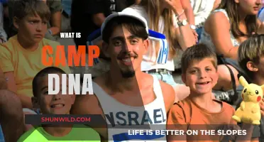 Exploring Camp Dina: A Unique Jewish Summer Experience for Teens
