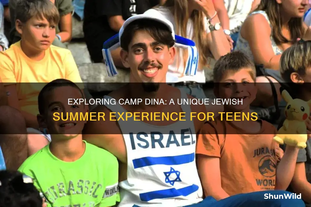 what is camp dina