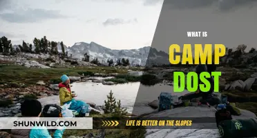 Discover Camp Dost: A Unique Adventure and Learning Experience