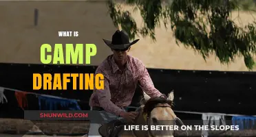 Understanding Camp Drafting: A Unique Australian Equestrian Sport Explained