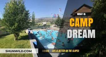 Unveiling Camp Dream: A Journey into Adventure and Self-Discovery