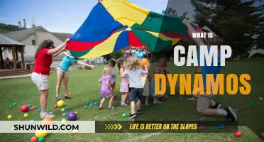 Discover Camp Dynamos: An Exciting Summer Adventure for Kids