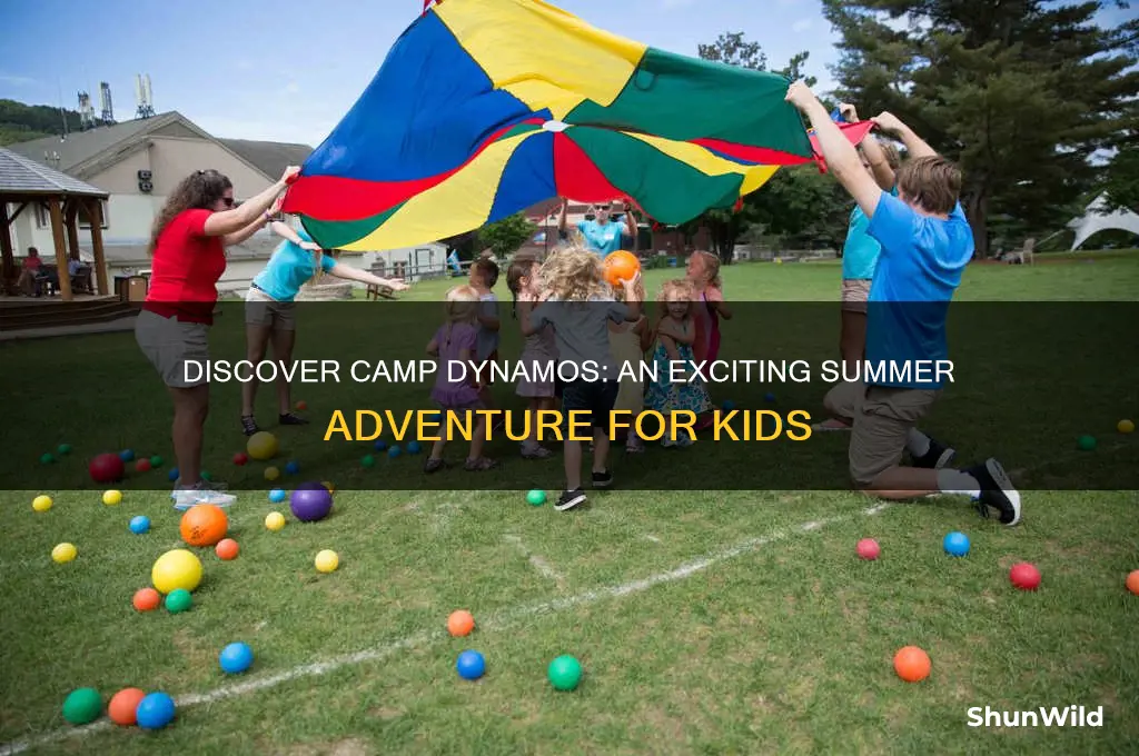 what is camp dynamos