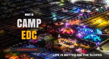 Exploring Camp EDC: The Ultimate Festival Camping Experience