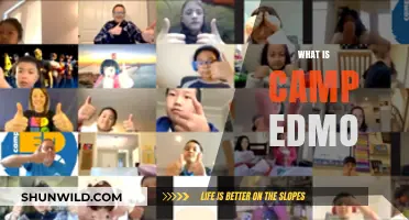Discover Camp Edmo: Fun, Creative, and STEAM-Focused Summer Adventures