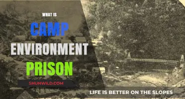 Understanding the Camp Environment in Prison: A Comprehensive Overview