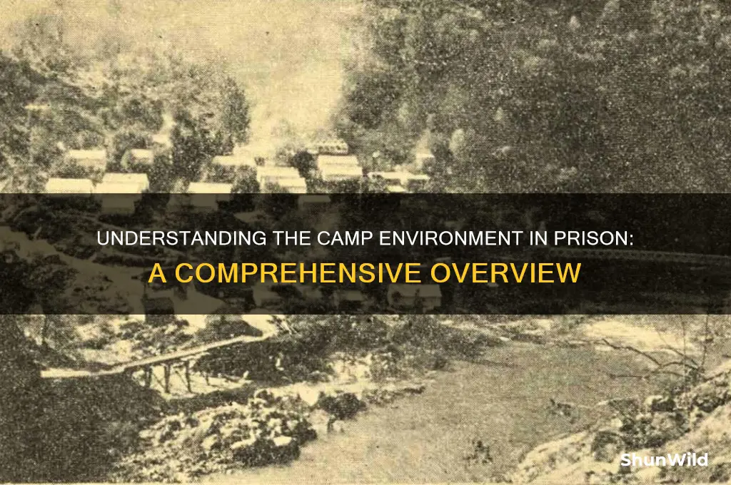 what is camp environment prison