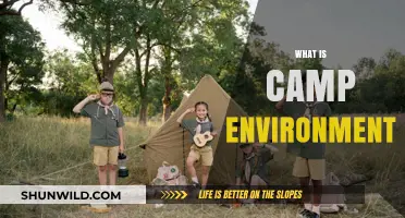 Exploring the Fun and Learning in a Camp Environment