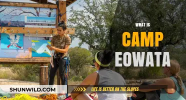 Discover Camp Eowata: A Hidden Gem for Outdoor Enthusiasts