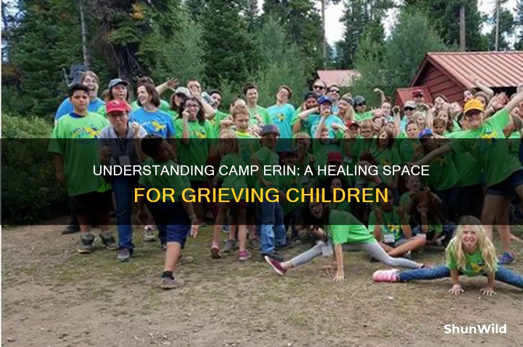 what is camp erin