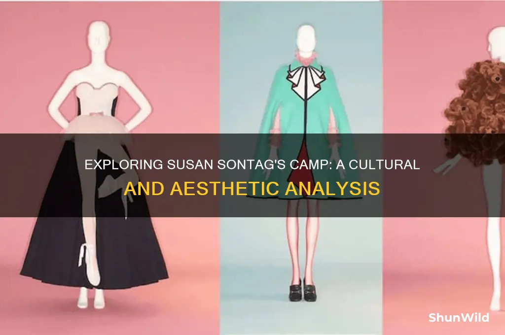what is camp essay