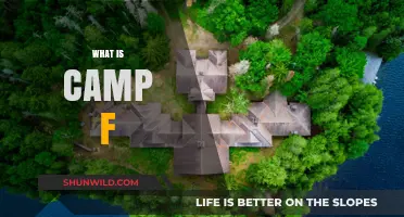 Unveiling Camp F: Exploring the Mystery and Purpose of This Enigmatic Site