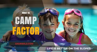 Understanding the Camp Factor: A Guide to Its Meaning and Impact