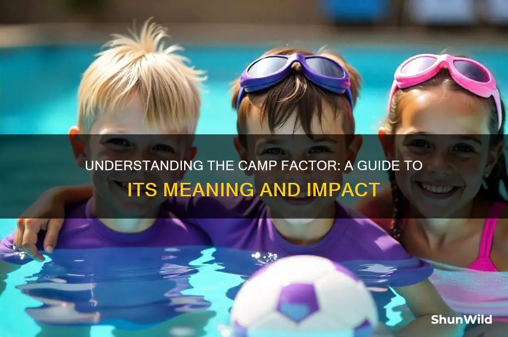 what is camp factor