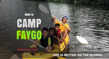 Exploring Camp Faygo: A Unique Summer Adventure Experience