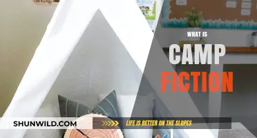 Exploring Camp Fiction: Its Origins, Themes, and Cultural Impact