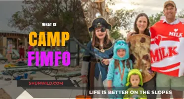 Discover Camp Fimfo: Family Camping Adventures Reimagined for All Ages