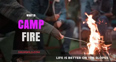 Understanding Campfires: History, Safety, and the Joy of Outdoor Flames