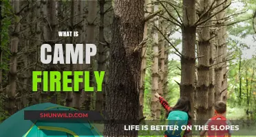 Discover Camp Firefly: A Magical Summer Adventure for Kids