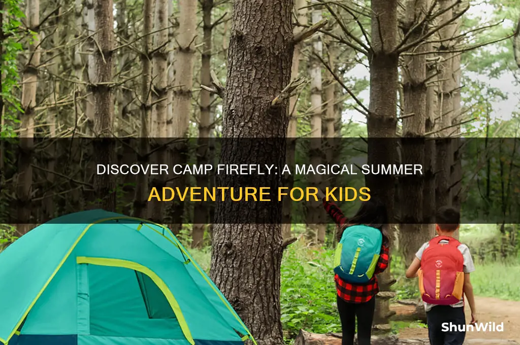 what is camp firefly