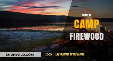 Exploring Camp Firewood: A Nostalgic Summer Camp Experience Revived
