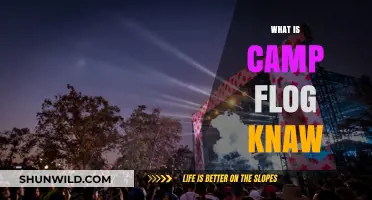 Exploring Camp Flog Gnaw: Tyler, The Creator's Iconic Music Festival