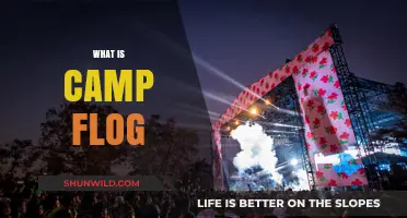 Unveiling Camp Flog Gnaw: A Guide to Tyler, the Creator's Festival