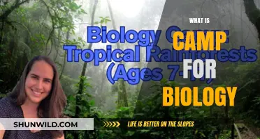 Exploring Camp Biology: Unveiling Nature's Secrets in Outdoor Learning Adventures