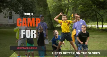 Exploring the Purpose and Benefits of Camp for All Ages